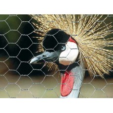 ΔΙΧΤΥ 6ΓΩΝΟ 3ΠΛΟ ΠΡΑΣΙΝ.0.5X5M 9080