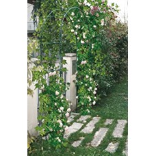 ΑΨΙΔΑ ΚΗΠΟΥ ΔΙΑΚ.130Χ37Χ240ΠΡΑΣ.