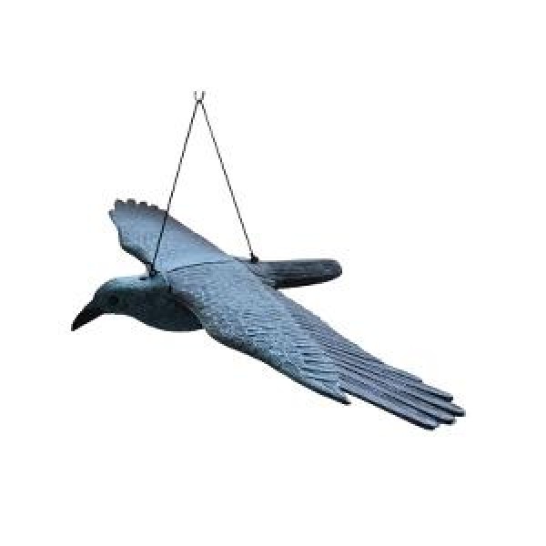 ΑΠΩΘΗΤΙΚΟ ΠΤΗΝΩΝ KOPAKI